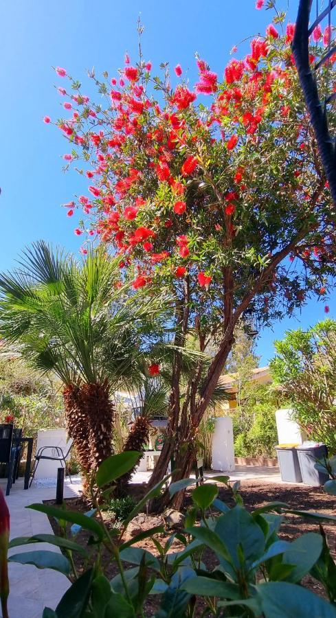 La Tre Palme * Valledoria (Sardinia)